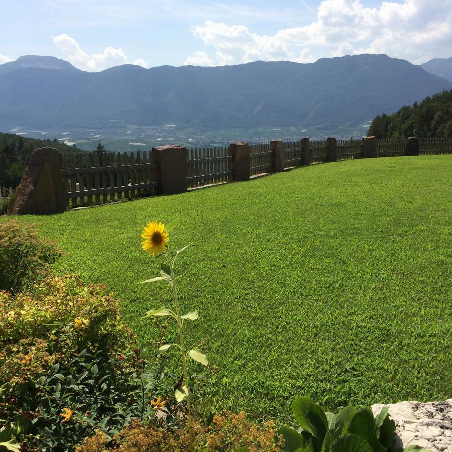 Agriturismo Alpenvidehof Βίλα Coredo Εξωτερικό φωτογραφία